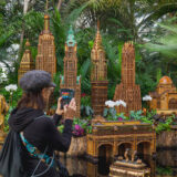 A person takes photos of brown botanical architecture inside a conservatory