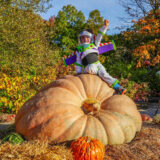 A child in an astronaut outfit poses for a photo while sitting atop a massive orange pumpkin