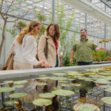 People explore a sunny greenhouse full of aquatic plants