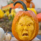 A collection of pumpkins in orange and white, with one displaying a menacing carven face