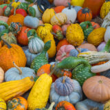 An enormous pile of pumpkins and gourds in green, orange, white, and red