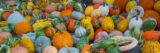 An enormous pile of pumpkins and gourds in green, orange, white, and red