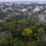 An aerial view of a misty tropical rain forest