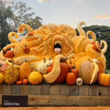 An enormous orange pumpkin has been carved into a monstrous, tentacled creature, reaching out to grasp smaller pumpkins around it