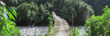 A wooden bridge spans a rocky river in a tropical forest