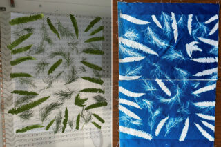 Two images side-by-side, one showing a white paper with many plant leaves on them, and the other showing a blue paper with white outlines of plants.