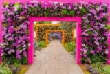 Pink and orange flowers grow on brightly colored square archways leading down a brick path