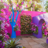 Pink and purple walls adorned with orchids in conservatory