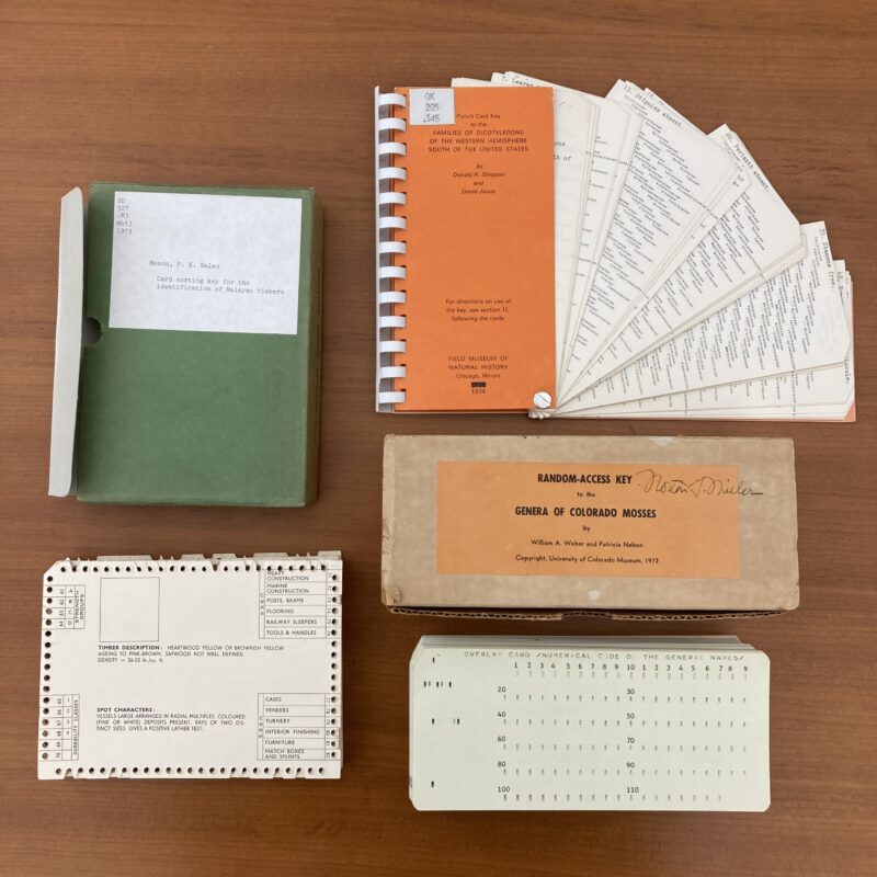 A collection of old library punch cards arrayed on a wooden table