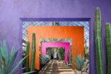 A colorful conservatory scene featuring purple, pink, and orange squared archways surrounded by green cacti