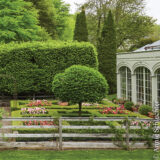 A house garden of green topiaries and red flowers hemmed by a wooden fence