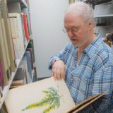 A person in a blue checked shirt pages through a large book containing green and yellow illustrations of plants