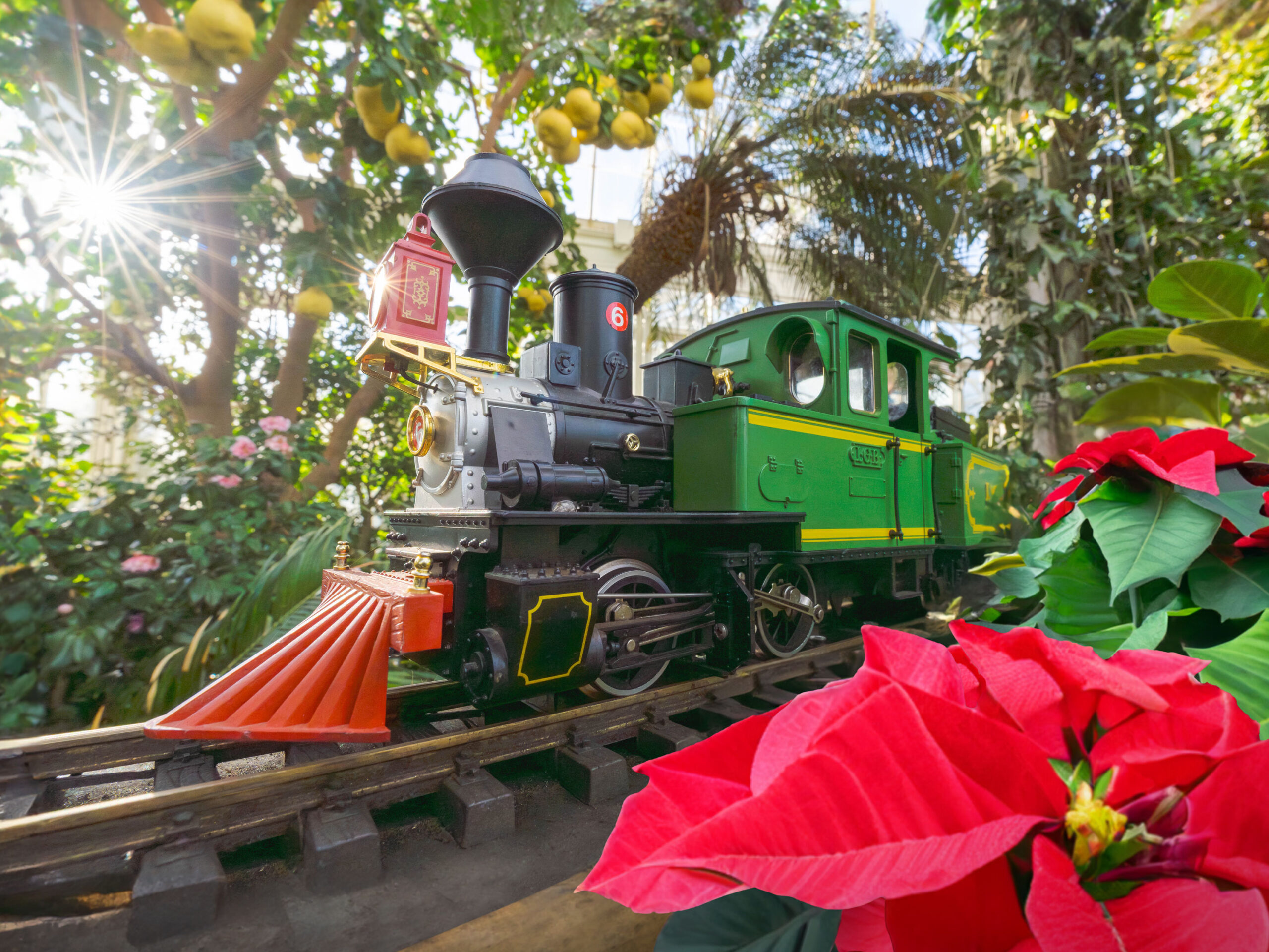 A model train in green and red travels along a toy train track through green foliage