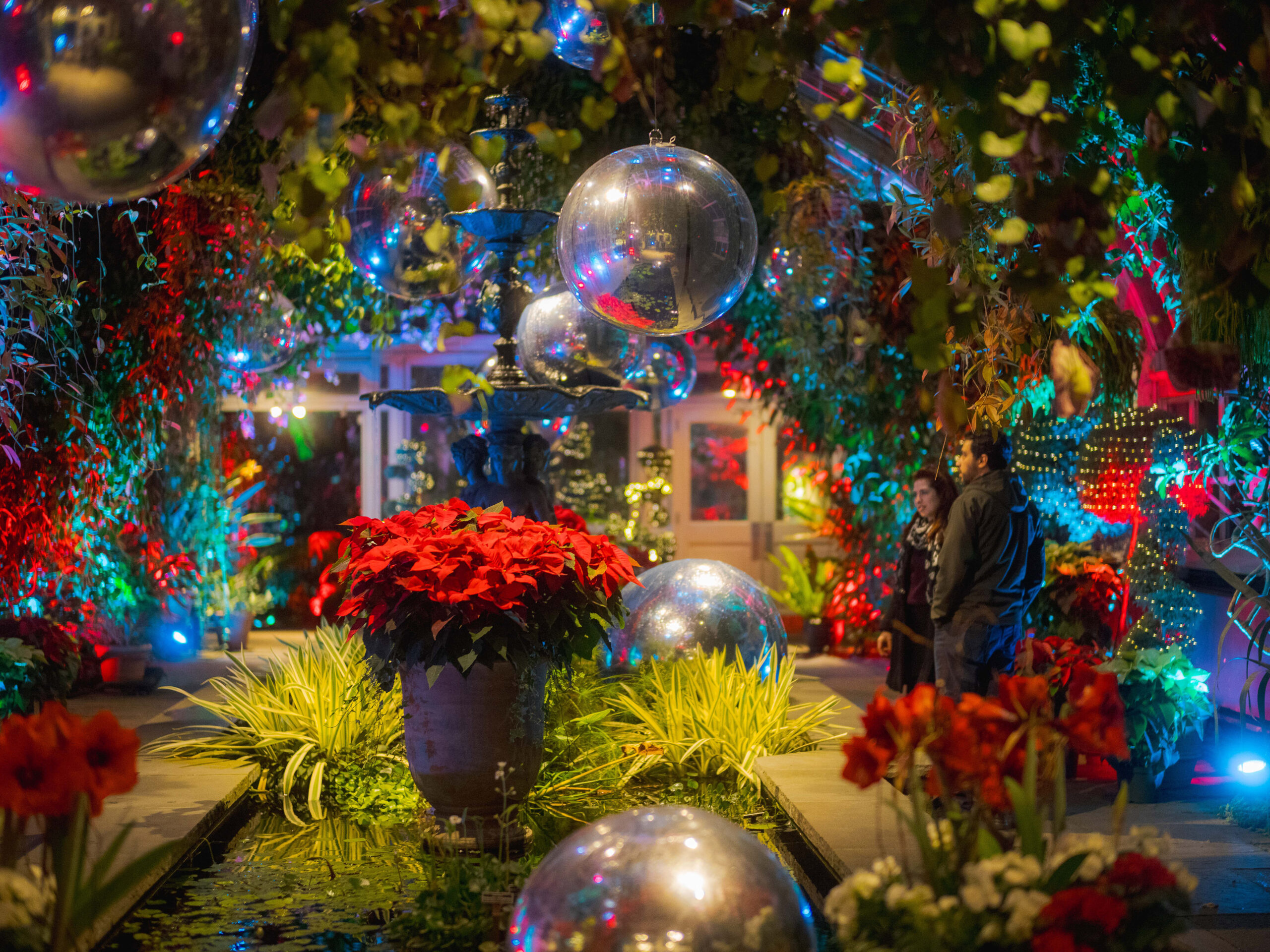 A pair of people explore a vividly lit conservatory gallery full of blue, white, and green lights, with red poinsettias and mirrored spheres filling the space