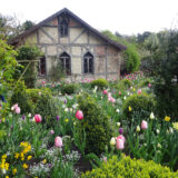 A classically styled house surrounded by a garden of green and pink