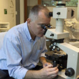 A person in a blue shirt looks into a microscope