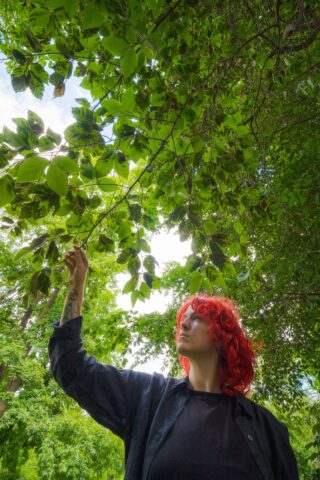 A person with bright red hair, wearing a black sweatshirt, examines the green leaves of a tall tree