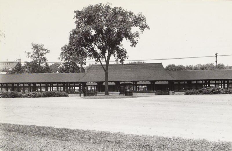 A black and white photo of a railway station and a tall tree