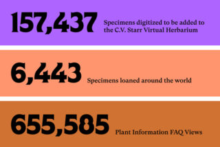 science year end infographic 2