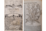 Pages from an antique book written in Latin, depicting a map and an illustration of a plant