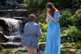 A person in a blue jacket gets down on one knee to propose to a person in a blue dress, both outdoors in a green garden on a sunny day