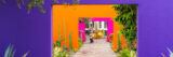 A person explores a planted conservatory space with three brightly colored walls in purple, orange, and pink