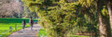 Two people stroll along a pathway in a green garden