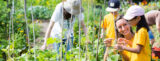 Group of students and instructors work in garden