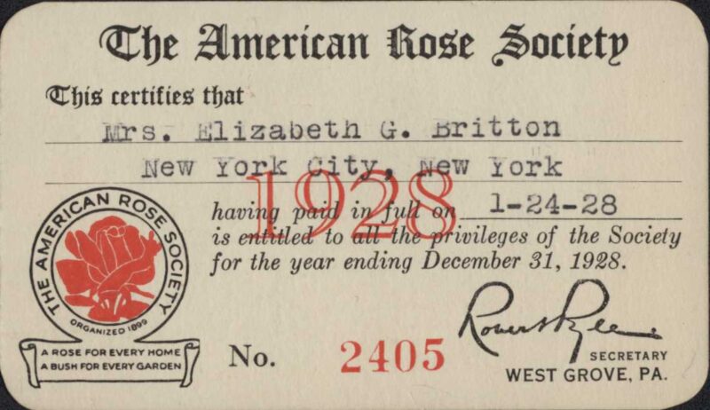 A membership card naming Elizabeth Britton as a member of the American Rose Society