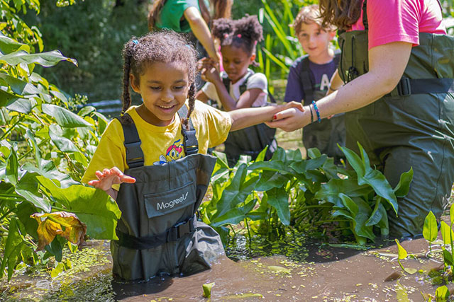 Child in waders and yellow shirt stepping through water