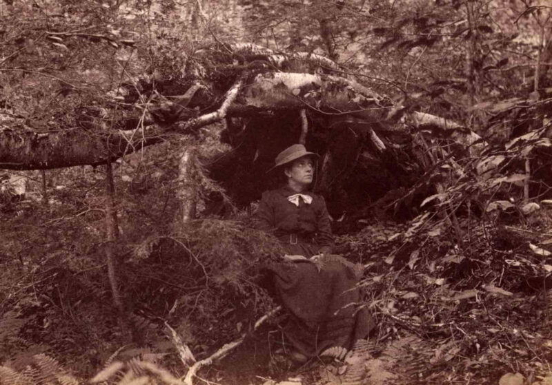 A person in a dark dress and straw hat sits under a fallen tree trunk, surrounded by ferns