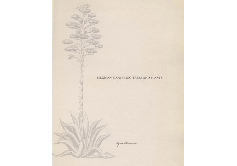 Illustration of a tall flowering plant in black and white with the words 