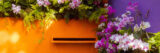 A fountain emerges from an orange wall, surrounded by purple flowers