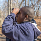 A child in a blue sweatshirt uses binoculars to view something outdoors