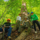 A group of people in gardening clothes and hard hats pose for a photo in a forest