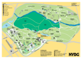 A green and yellow illustrated overhead map of a garden