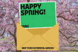 Spring ecard that says 