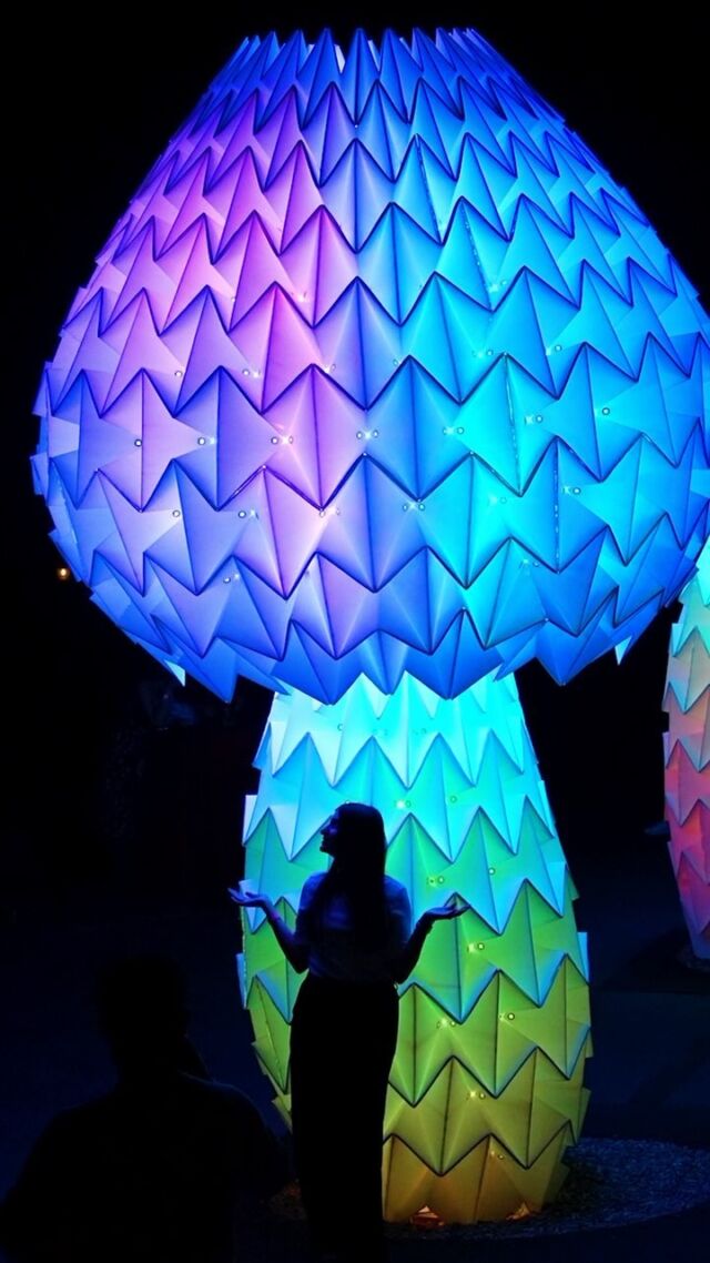 Wonderland Nights are BACK—so come get 💃groovy🕺 with us under the glow of our larger-than-life origami mushrooms. 🍄🌟
 
Maybe you’ve seen the Shrumen Lumen on display in the sandy setting of Burning Man, but now you can catch them right here during our evenings in Wonderland: Curious Nature. As you bask in the rainbow of changing light, shake off the week’s stresses with a specialty cocktail for purchase, then hit the dance floor while @djryanvandal or @kristavaldj spin tunes throughout these 21+ nights. You’ll even meet Alice and the Red Queen—so be sure to dress the part, especially for all the photo ops!
 
Grab tickets for nights on September 7, 14, 20, & 21 through the link in our bio.
 
#WonderlandNYBG #WonderlandNights #CuriousNature #ShrumenLumen @foldhauscollective