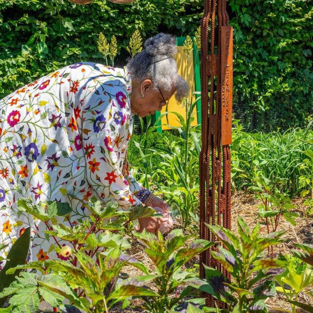 After three spectacular years, author, historian, and NYBG Trustee @drjessicabharris hosts the closing of the African American Garden this Saturday, and you’re invited.

Join Dr. Harris for a symposium featuring a conversation with @chefkwameonwuachi, creator of NYC’s renowned restaurant Tatiana (@tatianabychefkwame) at @LincolnCenter, as well as a panel of trailblazing food scholars and community organizers who contributed to the creation of the African American Garden here at NYBG. They’ll explore the rich stories of memories and belonging told by the plants in the garden over these years, and welcome you to the closing ceremony at the collection.

Register for this free event through the link in our bio.

#AfricanAmericanGarden