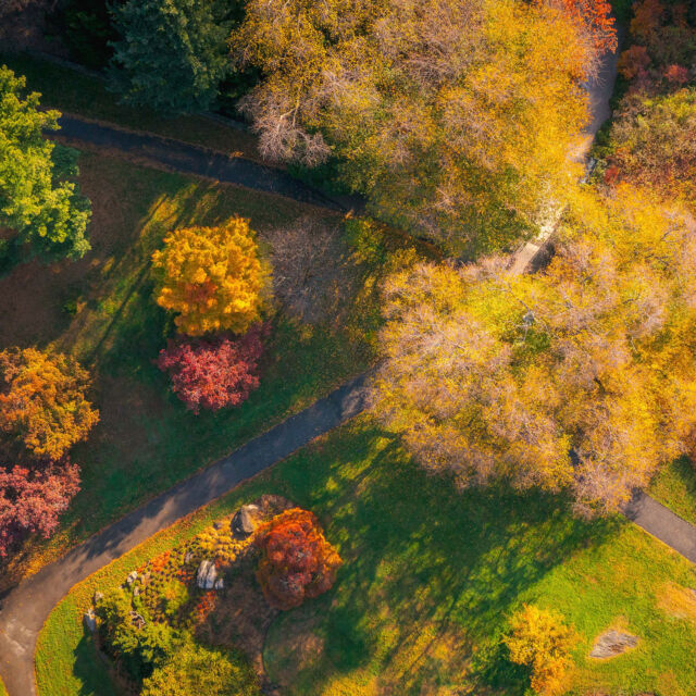 It’s been a busy news week, and we’re all in need of a bit of quiet. This weekend, trade in screen time for the colors of the Garden, the crunch of the fall leaves, and the sounds of the Bronx River.

NYBG offers a place to find serenity and connection to nature for everyone, and the trails of the Thain Forest are the perfect escape to clear your mind. Plus, this Saturday and Sunday during Fall Forest Weekend, join in crafts, tours, and talks throughout the day—and treat yourself to an apple cider or a hot chocolate while you relax.

See what’s happening this weekend at the Garden through the link in our bio.

#FallForestWeekends #FallFoliage