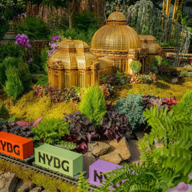 At the Garden, you can just about hear the horn of the locomotive coming round the bend. The Holiday Train Show opens THIS weekend! 🚂🏔
 
Starting this Saturday, November 16, jump headlong into the holidays. Indoors and out, surround yourself with warmly-lit scenes of model trains passing through miniature cityscapes and mountainous displays, with all the energy of NYC during the holidays. And with Holiday Train Nights starting November 23, the show is a can’t-miss experience after dark, too!
 
This is your chance to embrace this cheerful season—plan your visit and get tickets for opening weekend through the link in our bio.
 
#HTSNYBG #HolidayTrainNights