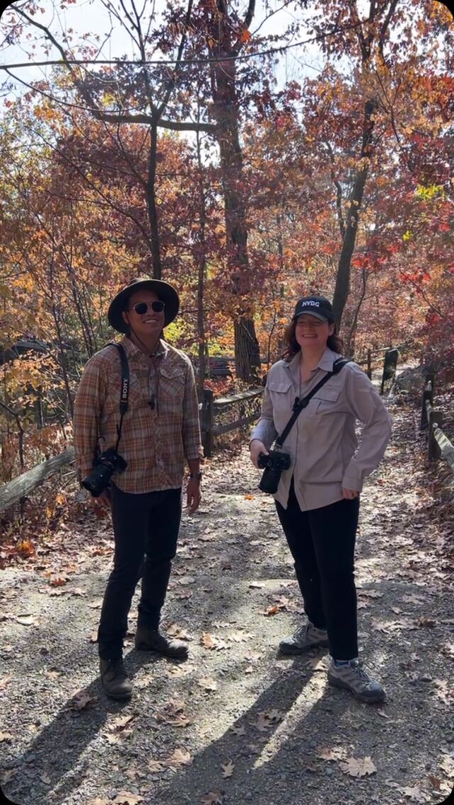 Looking to get into nature photography this season? Make sure you hit the trails well-prepared with some tips from the NYBG photo/video team! 🍁📸
 
Marlon and Kait are the people behind almost everything you see on our feed, and they’re happy to share a little know-how for what to look for, what to shoot, and what to bring with you as you get started. Seeing the Garden through their lens is a great way to learn the early techniques that make for a great shot or clip.
 
@marlonco.photography #photography #videography #nature