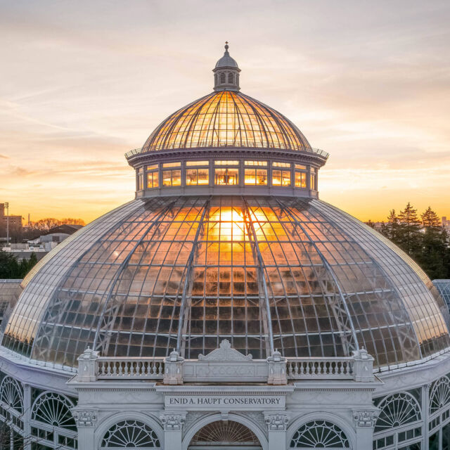 Due to a water main break, NYBG is closed today, December 17.

Current Tuesday ticket holders, an email will be sent to your inbox with further information. Thank you for your patience!