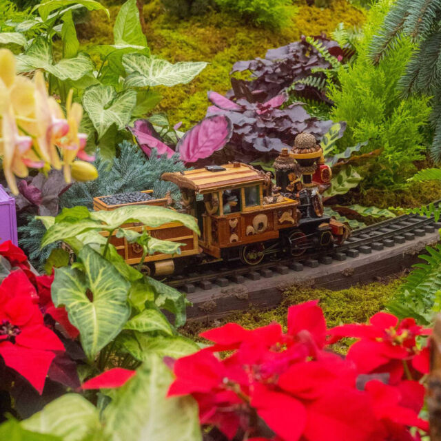 Happy holidays! Just a heads up that we’ll be closing at 3 p.m. today, December 24, and will reopen this Thursday, December 26. 🚂🎄🎁

If you’ve got guests in town (or you just want to treat yourself to NYC’s favorite tradition), this week’s ALL about the Holiday Train Show. And with Holiday Train Nights for all ages making spirits bright on December 26, 27, and 28, kids and kids at heart can keep the holiday celebration going with an after-dark viewing of the show in all its twinkling beauty.

With tickets selling out, be sure to get yours ahead of time through the link in our bio.

#HTSNYBG #HolidayTrainNights