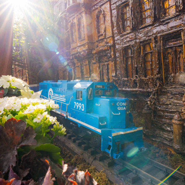 With nearly 200 landmark miniatures, the Holiday Train Show is full of sights to see—but the locomotives bring it all to life. 🚂🏔

With everything from street trolleys and subway cars to classic steam engines and diesel trains—not to mention everyone’s favorite ladybug on wheels 🐞—the railways of our much-loved winter tradition are always buzzing with activity, indoors and out. Which one always catches YOUR eye? 👀

#HTSNYBG #trains