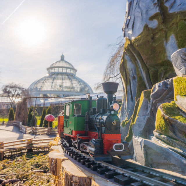 Before the toasts and fireworks, send off 2024 with a picture-perfect day at NYBG. 🎉

The Holiday Train Show is OPEN today for the last day of the year, and we'll be open Wednesday, January 1 for you to ring in 2025 in style with an afternoon spent in NYC's most beautiful 250 acres. Bring the family or just yourself to explore nearly 200 model New York landmarks brought to life with more than two dozen model trains—indoors and out.

Did I mention we've got more 21+ Holiday Train Nights coming up, too? Check it out through the link in our bio, and Happy New Year from all of us at NYBG!

#HTSNYBG #HolidayTrainNights