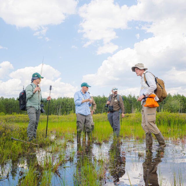 2024 was a remarkable year for us here at NYBG, and we’re especially proud of all we accomplished in the lab and in the field! 🌿🔬

To quantify some of our plant science efforts, our scientists discovered 36 new plant species, collaborated on projects in 79 countries around the world, and digitized over 150,000 plant specimens in our Steere Herbarium. From Spain, to Colombia, to the islands of the South Pacific, we applied our knowledge to tackle the climate crisis with plant-based solutions, and participated in the world’s most significant biodiversity conferences, joining with colleagues from near and far to protect our planet.

There’s just too much to cover here, so visit the link in our bio to read the full recap—and stay tuned for more as we hit the ground running in 2025.