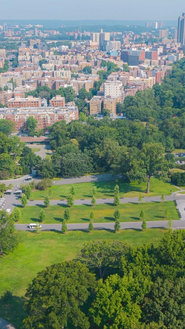 Plant People Season 2 is a go! In today’s episode, we talk NYC’s greenest borough, and the home of NYBG—The BRONX. 🌲🏙

Author and humorist Ian Frazier joins us on mic this week to chat about “Paradise Bronx: The Life & Times of New York’s Greatest Borough,” his new book and a love letter to our neck of the woods. Together we’ll navigate the Bronx’s complex past, from its historical landscapes and development to environmental and municipal neglect—and the resilience and creativity that have helped it bounce back time after time.

Hit the link in our bio to listen to the first episode of Season 2 now, with new episodes dropping every other Monday. And don’t forget to rate and subscribe!

#PlantPeople