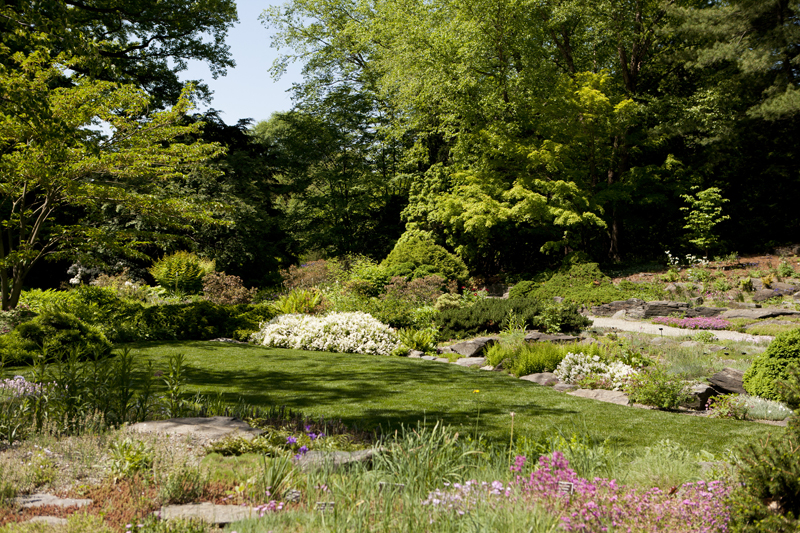 Rock Garden | NYBG