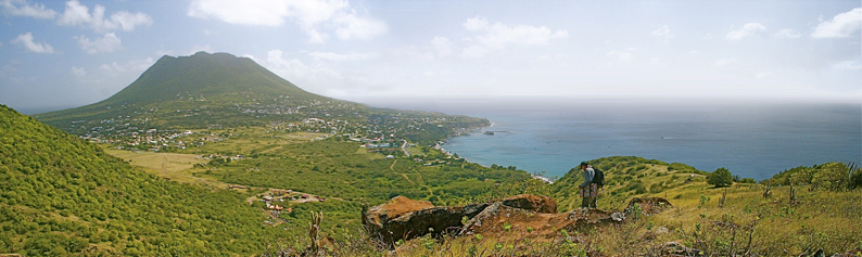 Caribbean Biodiversity Program | NYBG